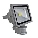 LED floodlight<gtran/> 30W/0.5W cold light, motion sensor<gtran/>